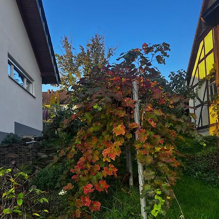 Kleine Auszeit - Ferienwohnung Heideberg - "Rhein" In Den Urlaub Bacharach Dış mekan fotoğraf